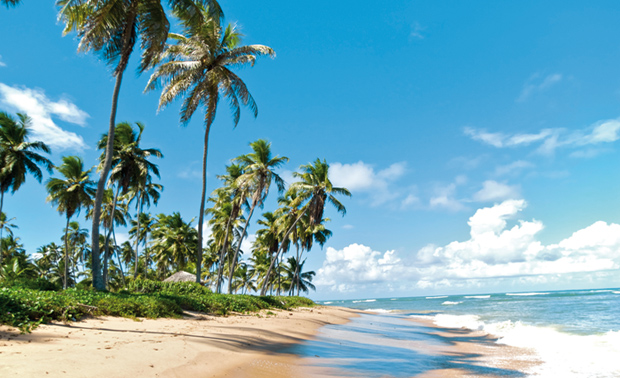 PLAYAS BRASIL OFERTA SALVADOR DE BAHIA